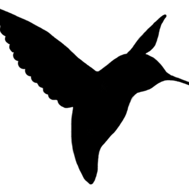 Logo Calypt